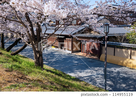 春天的東山區 春天的東山區 114955119