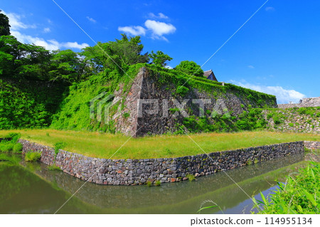 [Hyogo Prefecture] Tamba Sasayama Castle in sunny weather 114955134