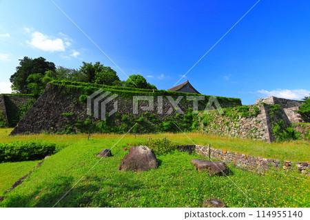 [Hyogo Prefecture] Tamba Sasayama Castle in sunny weather 114955140