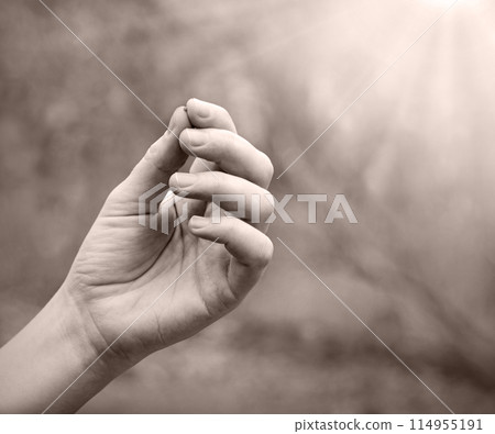 Hand holding a small mustard seed 114955191