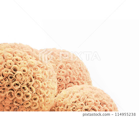 Round balls of red roses 114955238