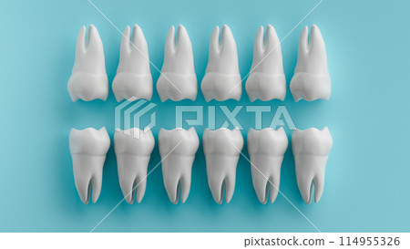 3D Rendering of Molars on Blue Background 114955326