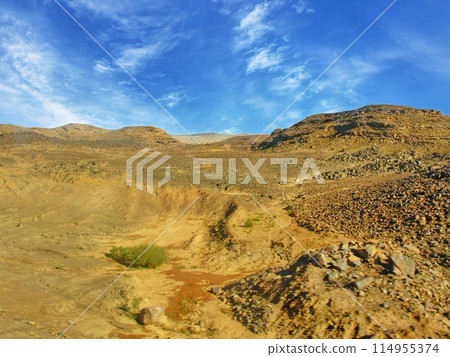 Desert landscape with rocky hills and sparse vegetation under a clear blue sky. Captivating natural scene showcasing the rugged beauty and grandeur of the desert.  114955374