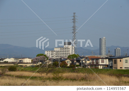 這是八王子市春天淺川的樣子 這是八王子市春天淺川的樣子 114955567