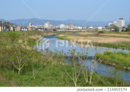 這是八王子市春天淺川的樣子 這是八王子市春天淺川的樣子 114955574