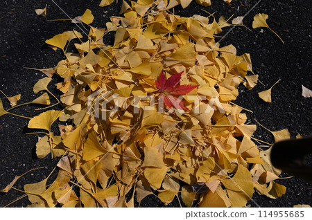 Nagafukuji 114955685