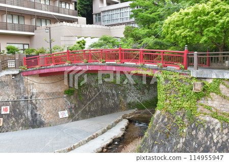 Nene Bridge and Arima River Nene Bridge and Arima River 114955947