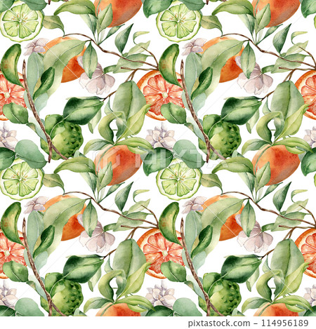 Foliage with assorted citrus fruits and white flowers watercolor seamless pattern isolated on white. Hand drawn grapefruit in botanical sketch style. Jasmine and green bergamot for package, textile 114956189