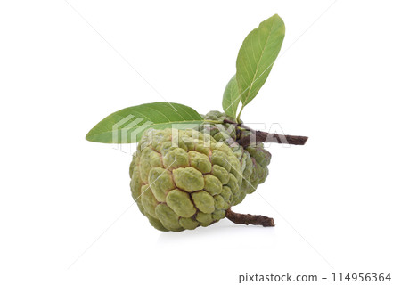 Custard apple isolate on white background 114956364