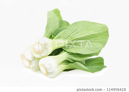Bok choy vegetable isolated on the white background. Bok choy vegetable isolated on the white background. 114956428