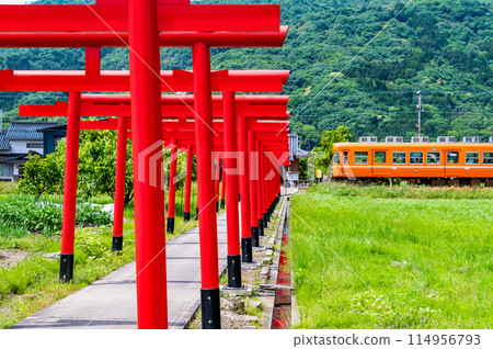 島根縣一畑列車 - 穿過鳥居林立的引道的列車 島根縣一畑列車 - 穿過鳥居林立的引道的列車 114956793