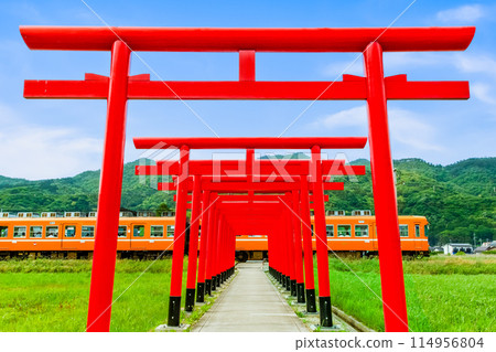 島根縣一畑列車 - 穿過鳥居林立的引道的列車 114956804