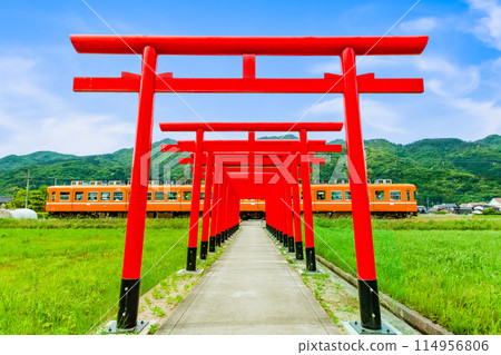 島根縣一畑列車 - 穿過鳥居林立的引道的列車 114956806