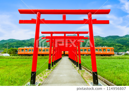 島根縣一畑列車 - 穿過鳥居林立的引道的列車 114956807