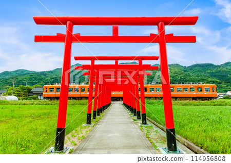 島根縣一畑列車 - 穿過鳥居林立的引道的列車 島根縣一畑列車 - 穿過鳥居林立的引道的列車 114956808