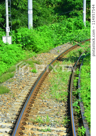信濃鐵道北信濃線從長野站到古間站的車窗景觀（2022年夏季） 114957544