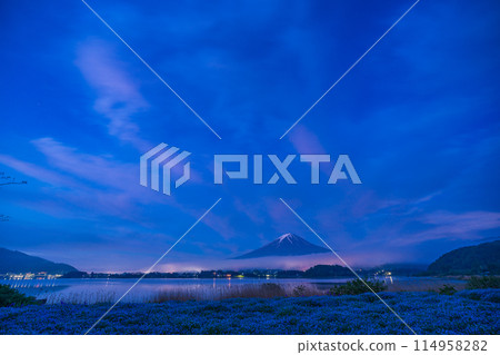 (山梨縣)黎明前的大石公園,穿過粉蝶的富士山 (山梨縣)黎明前的大石公園,穿過粉蝶的富士山 114958282