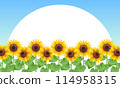 Sunflower frame illustration 114958315