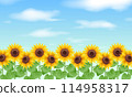 Sunflower and blue sky illustration 114958317