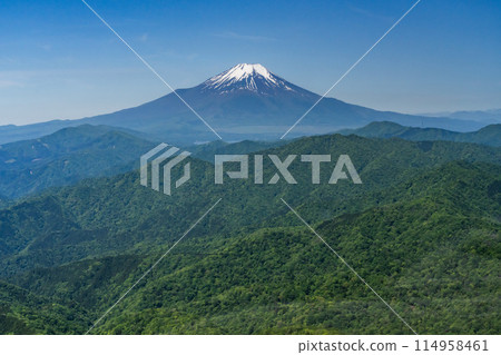 [空拍]從空中看到的新綠富士山 114958461