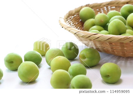 Washing harvested green plums in a bamboo basket 114959095