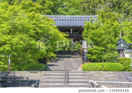新綠的京都光明寺(阿王光明寺)正門 新綠的京都光明寺(阿王光明寺)正門 114959189