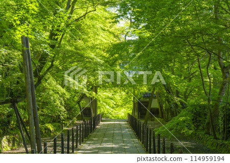 京都光明寺(阿王光明寺)藍楓藥院門 京都光明寺(阿王光明寺)藍楓藥院門 114959194