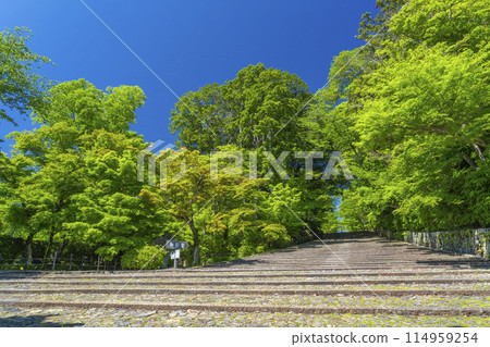 Kyoto Komyo-ji Temple (Ao Komyo-ji Temple) Women's Hill surrounded by fresh greenery Kyoto Komyo-ji Temple (Ao Komyo-ji Temple) Women's Hill surrounded by fresh greenery 114959254