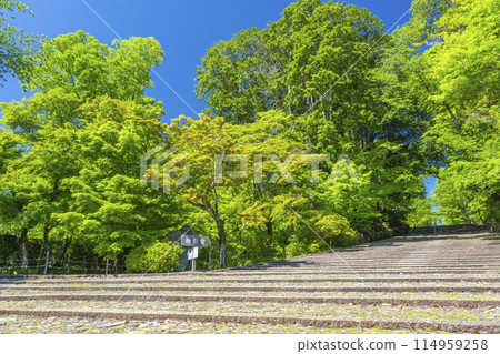 Kyoto Komyo-ji Temple (Ao Komyo-ji Temple) Women's Hill surrounded by fresh greenery 114959258