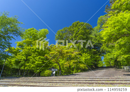 Kyoto Komyo-ji Temple (Ao Komyo-ji Temple) Women's Hill surrounded by fresh greenery Kyoto Komyo-ji Temple (Ao Komyo-ji Temple) Women's Hill surrounded by fresh greenery 114959259