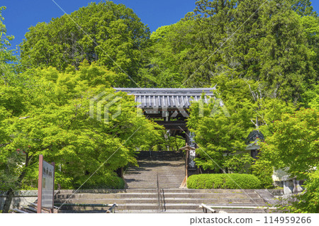 京都光明寺(阿王光明寺)正門 京都光明寺(阿王光明寺)正門 114959266