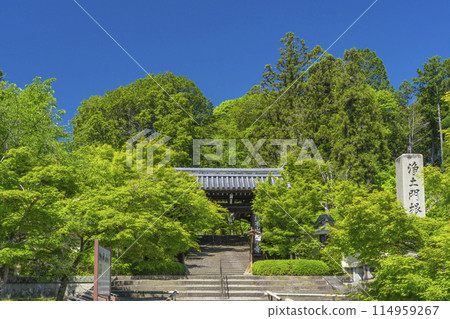 Kyoto Komyo-ji Temple (Ao Komyo-ji Temple) Main Gate Kyoto Komyo-ji Temple (Ao Komyo-ji Temple) Main Gate 114959267