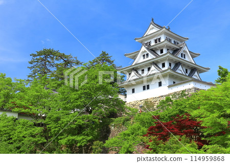 [岐阜縣] 鮮綠的郡上八幡城天守閣 114959868