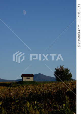 Scenery of Biei in September 114960035