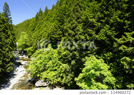 綠意盎然的溪谷天川村 114960272