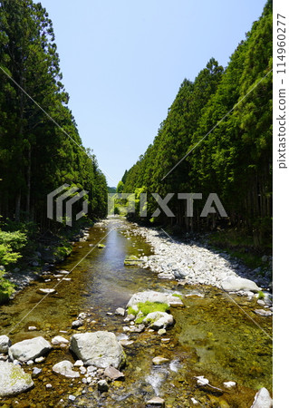 A valley lit up by fresh greenery, Tenkawa Village A valley lit up by fresh greenery, Tenkawa Village 114960277