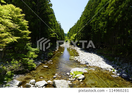 綠意盎然的溪谷天川村 114960281