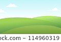 summer landscape with blue sky 114960319