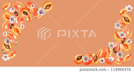 Horizontal border and banner of ripe orange pink apricots with green leaves, brown pit. Watercolor illustration with apricot crush color for harvest day template design, labels, kitchen textiles 114960476