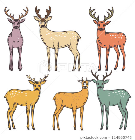 Set six stylized deer illustrations featuring various colors patterns. Deer portrayed natural stance presenting diverse coats. Cartoon designs suitable childrens book, wildlife theme 114960745