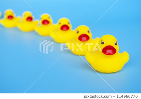 Rubber duck leading other rubber ducks with customizable space for text. Leadership concept 114960770