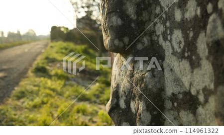 日本的清晨風景（Magic Hour） 自然風光 114961322