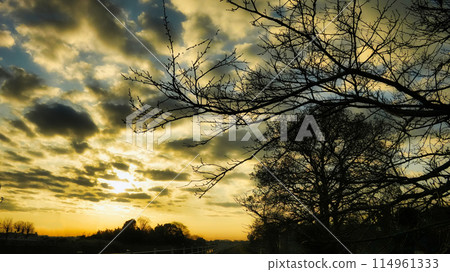 日本的清晨風景（Magic Hour） 自然風光 114961333