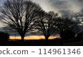 日本的清晨風景（Magic Hour） 自然風光 114961346