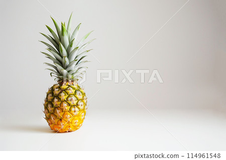 菠蘿 菠蘿 114961548