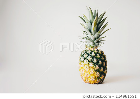 pineapple pineapple 114961551