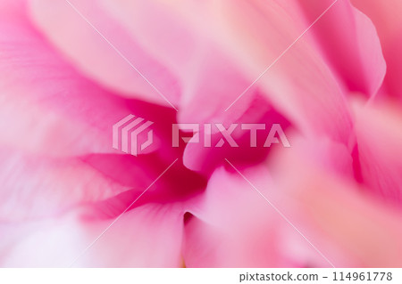 Petals/elegant background material 114961778