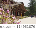 North Korea 2019 114961870