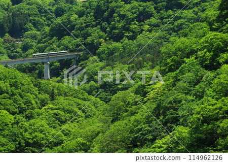 Fresh greenery on the Yagan Railway - Limited Express Liberty (500 series) 114962126