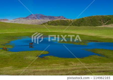 Aso, Kumamoto Prefecture: Spring blue skies and horses grazing on Kusasenri Beach Aso, Kumamoto Prefecture: Spring blue skies and horses grazing on Kusasenri Beach 114962165